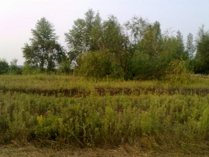 Вища Дубечня з panoramio.com - Вища Дубечня