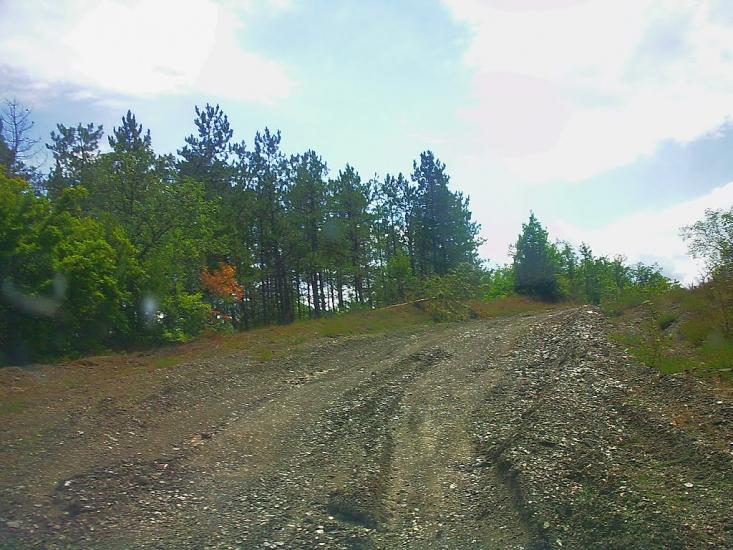 Щасливе з panoramio.com - Schaslyve