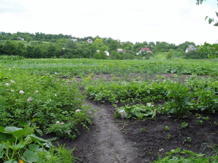 Ярошівка з panoramio.com - Ярошівка