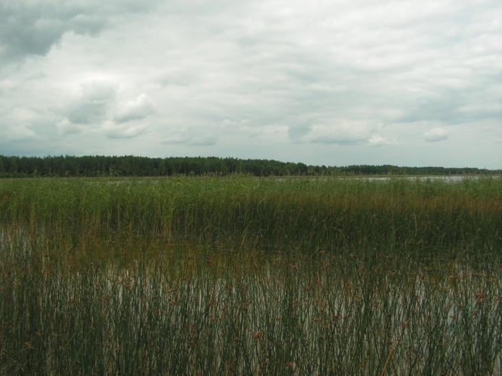 Згорани з panoramio.com - Згораны