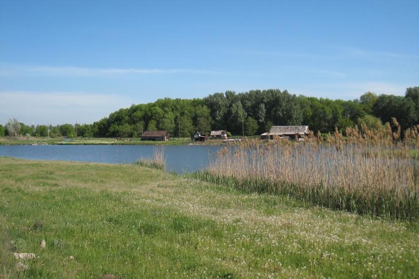 Опитне з panoramio.com - Опитне