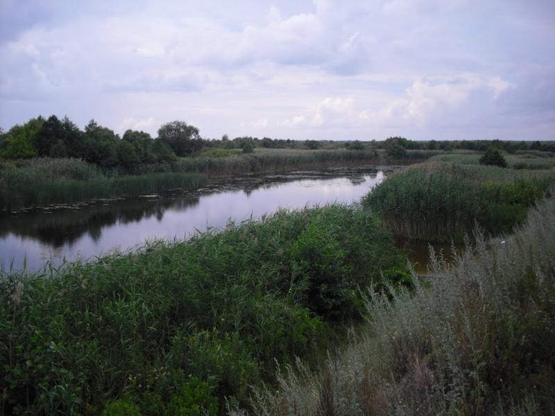 Кам'янка з panoramio.com - Каменка