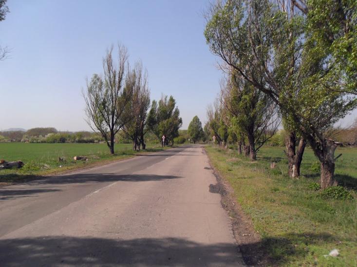 Доломітне з panoramio.com - Доломітне