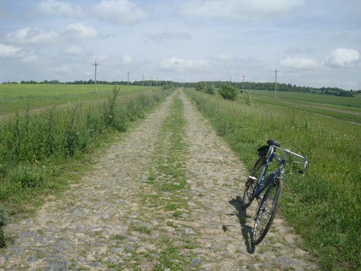 Черепова з panoramio.com - Черепова