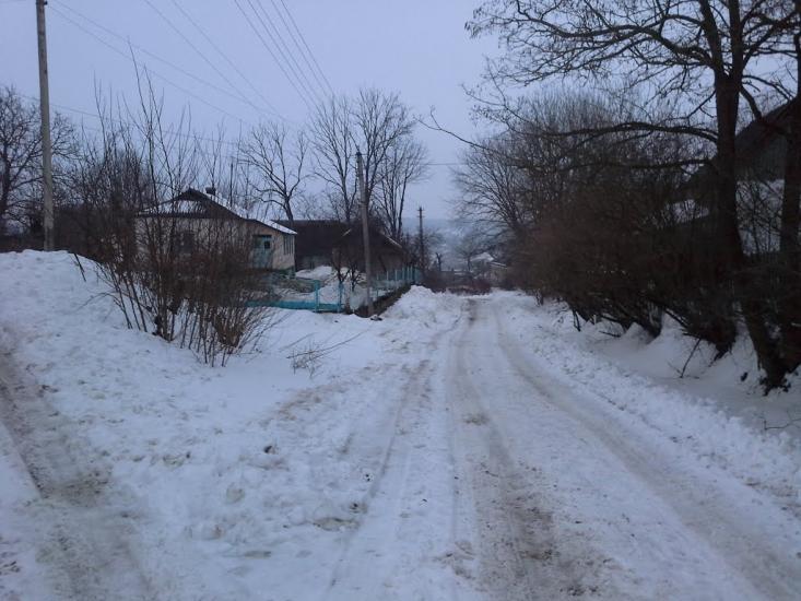 Бурканів з panoramio.com - Burkaniv
