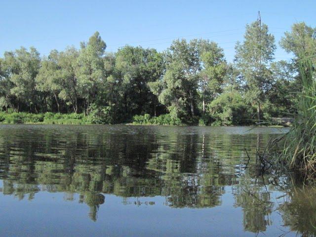 Потоки з panoramio.com - Потоки