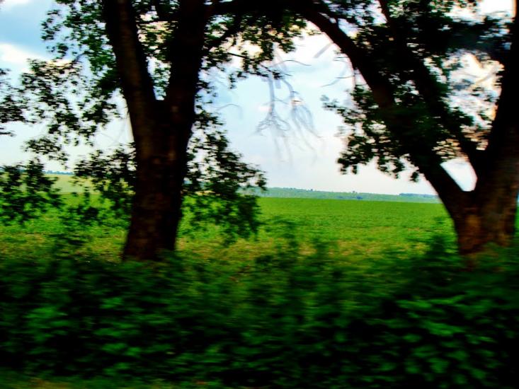 Медвин з panoramio.com - Медвин