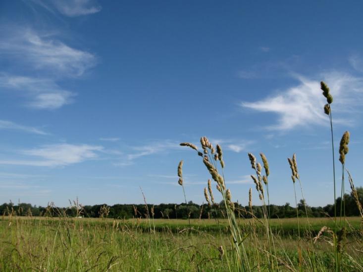 Литовеж з panoramio.com - Литовеж