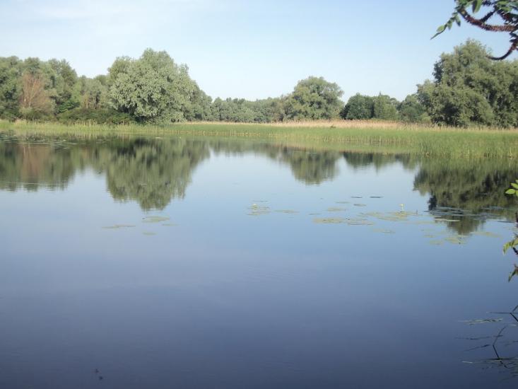 Дмитрівка з panoramio.com - Дмитровка