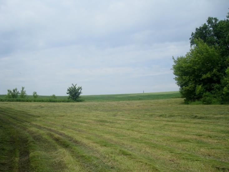 Городище з panoramio.com - Городище