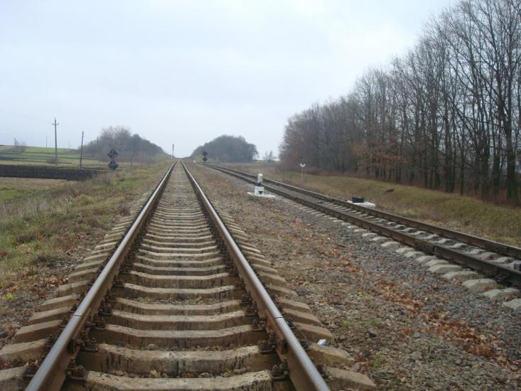 Воронківці з panoramio.com - Воронковцы