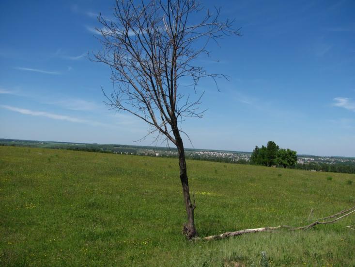 Хмільник з panoramio.com - Khmilnyk