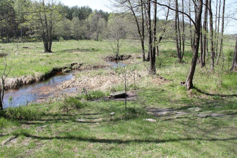 Мелені з panoramio.com - Meleni