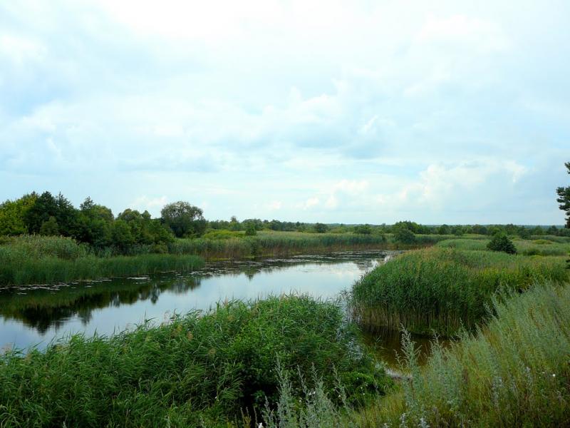 Кам'янка з panoramio.com - Каменка