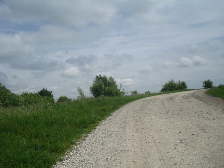 Черепова з panoramio.com - Черепова