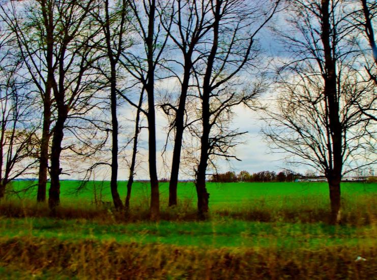 Ківшовата з panoramio.com - Ківшовата