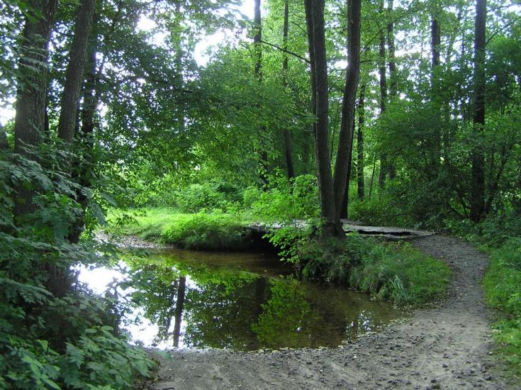 Нова Ушиця з panoramio.com - Новая Ушица