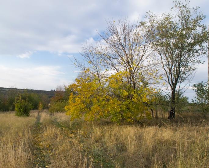 Степногірськ з panoramio.com - Степногірськ