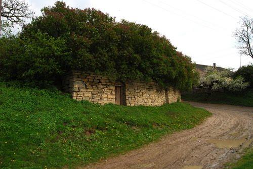 Цвітова з panoramio.com - Цвітова