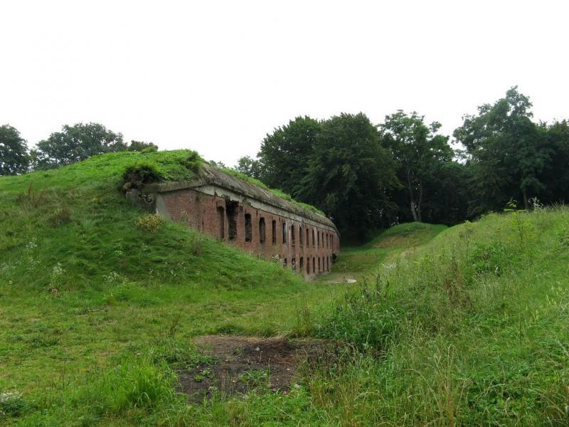 Биків з panoramio.com - Быков