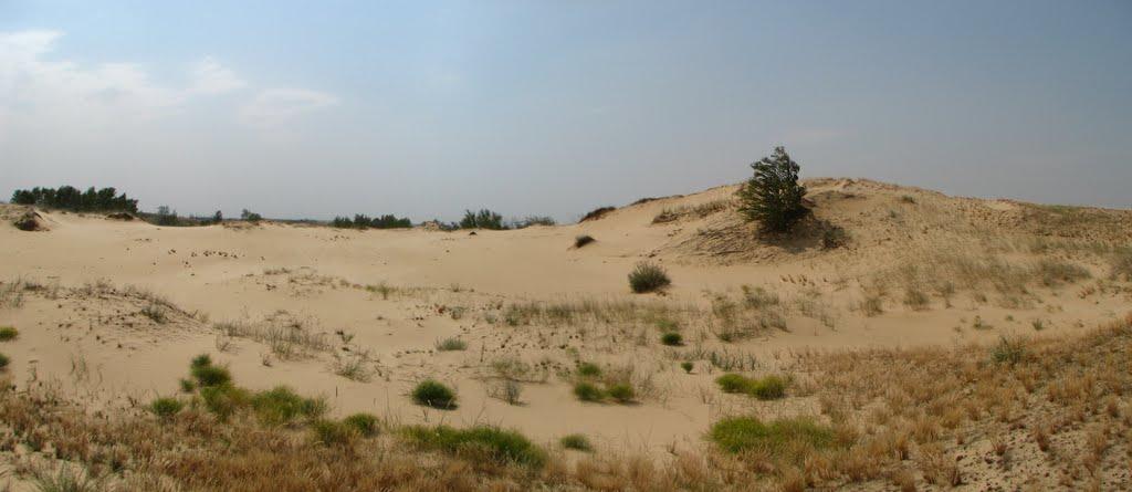 Пролетарка з panoramio.com - Пролетарка