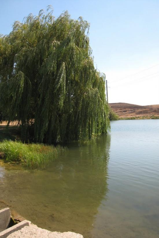 Біле з panoramio.com - Белое