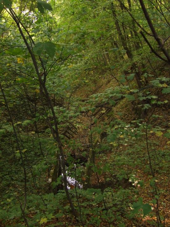 Теребовля з panoramio.com - Теребовля