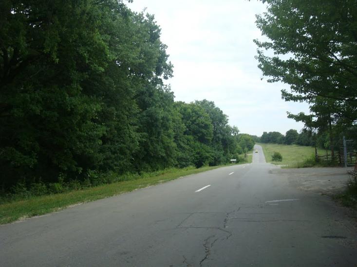 Віньківці з panoramio.com - Виньковцы