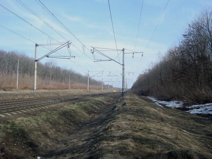 Радівці з panoramio.com - Radivtsi