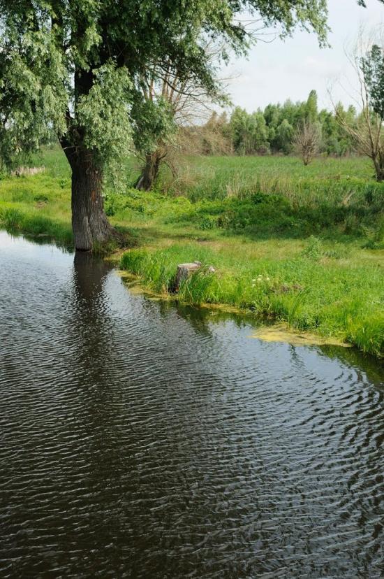 Коржі з panoramio.com - Коржі