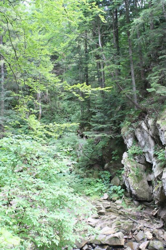 Кам'янка з panoramio.com - Каменка