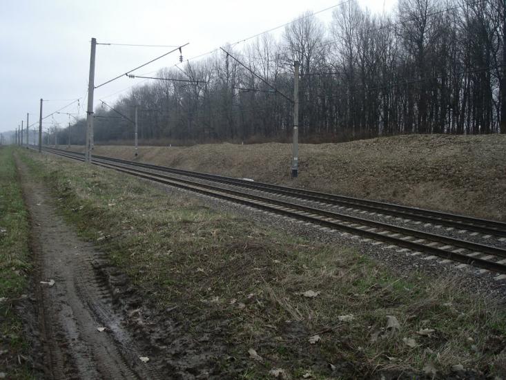 Стодульці з panoramio.com - Stodultsi