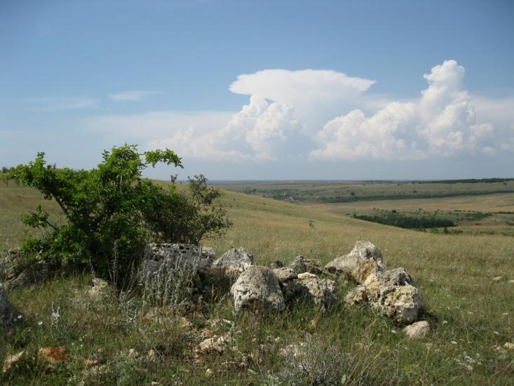 Рєпіне з panoramio.com - Рєпіне