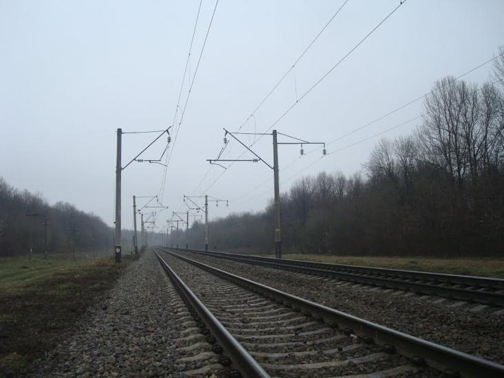 Васютинці з panoramio.com - Васютинці