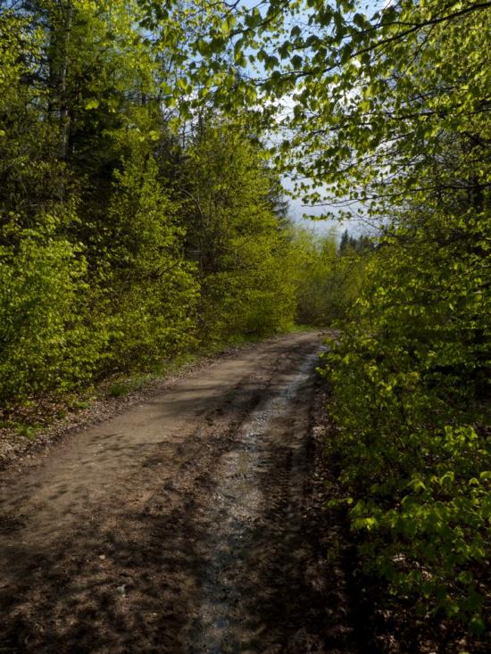 Орів з panoramio.com - Оров