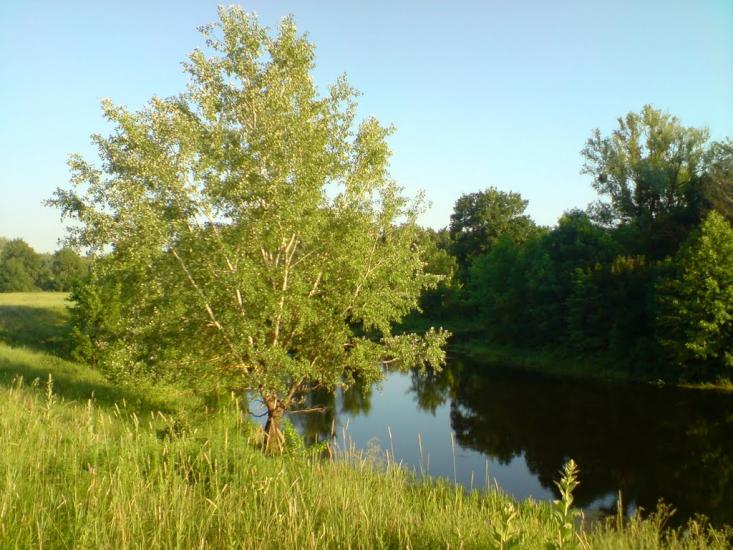 Лабурівка з panoramio.com - Лабуревка