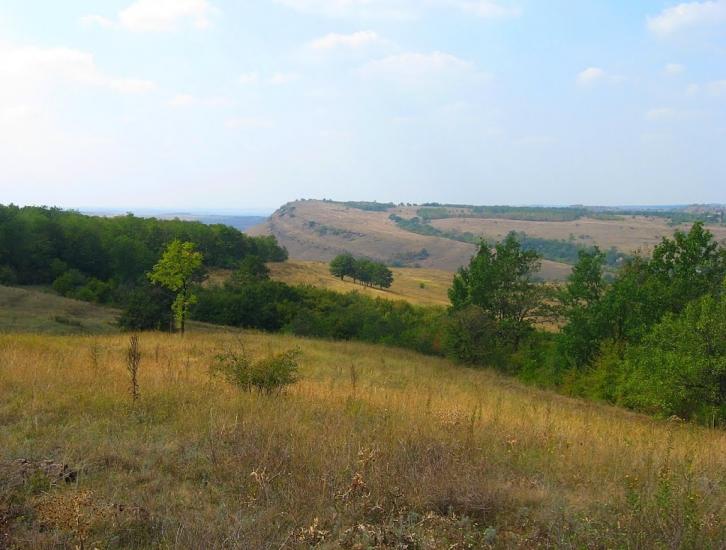 Бугаївка з panoramio.com - Бугаевка