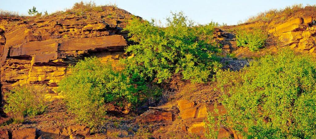 Калинове з panoramio.com - Калинове