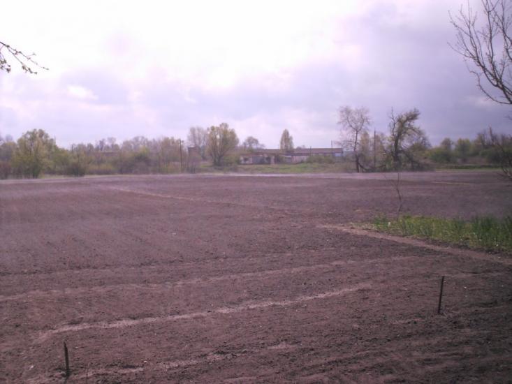 Авдіївка з panoramio.com - Авдіївка