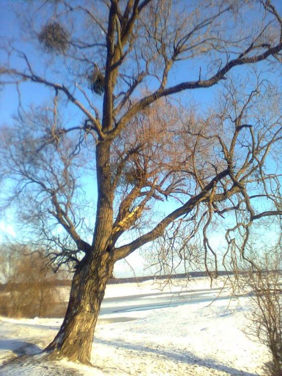 Городець з panoramio.com - Городець