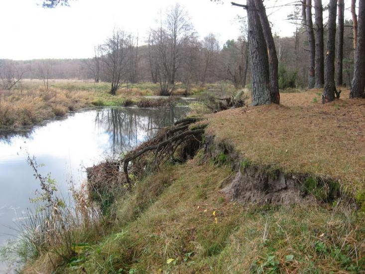 Візня з panoramio.com - Візня