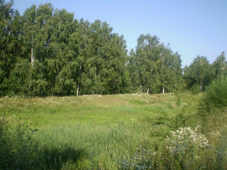 Селище з panoramio.com - Селище