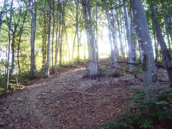 Красна з panoramio.com - Krasna