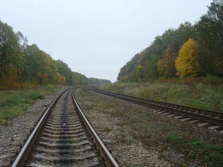 Малиничі з panoramio.com - Малиничи