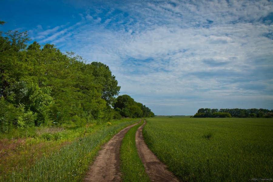 Мізікевича з panoramio.com - Mizikevycha