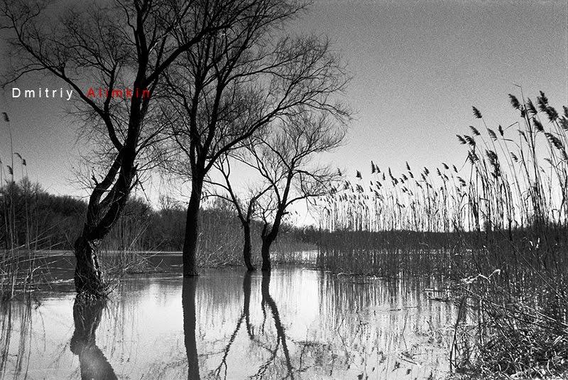 Райгородок з panoramio.com - Raygorodok