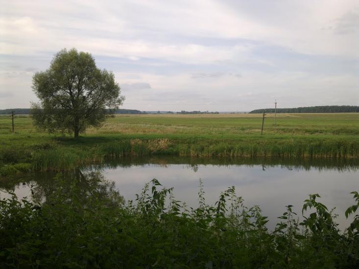 Новий Витків з panoramio.com - Новый Витков