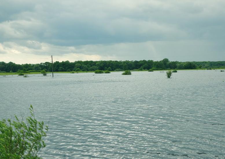 Литовеж з panoramio.com - Литовеж
