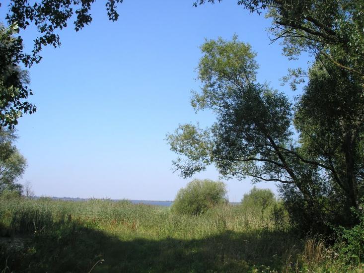 Пульмо з panoramio.com - Пульмо