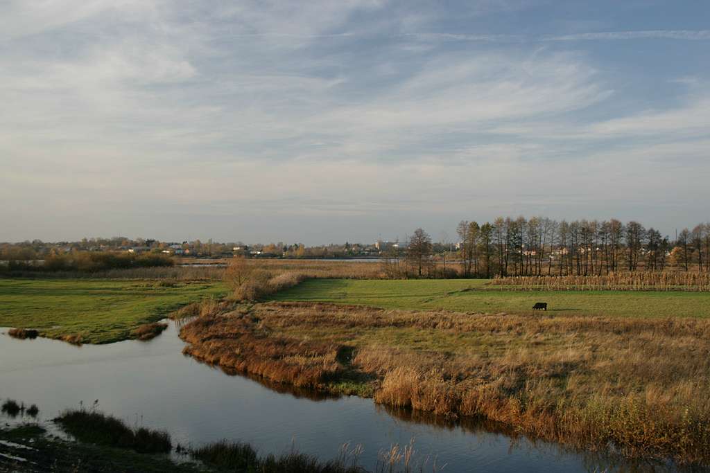 Рідні оку краєвиди - Любар